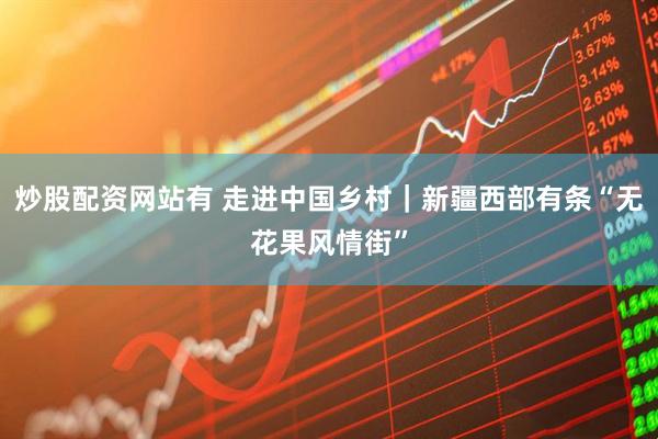 炒股配资网站有 走进中国乡村｜新疆西部有条“无花果风情街”