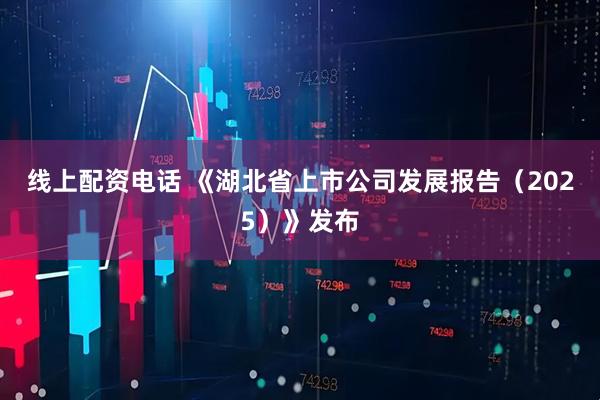 线上配资电话 《湖北省上市公司发展报告（2025）》发布