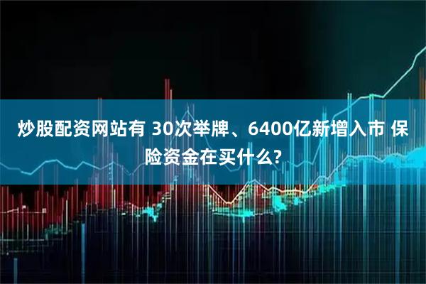 炒股配资网站有 30次举牌、6400亿新增入市 保险资金在买什么?